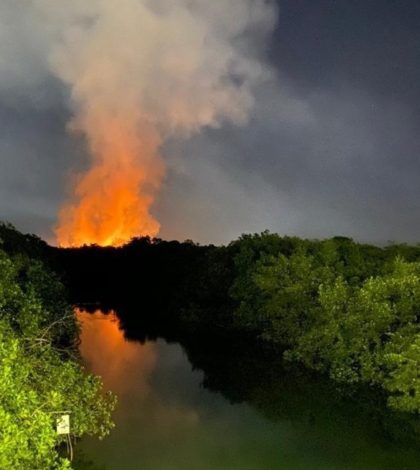 Incendio en Puerto Vallarta consume casi dos hectáreas de área natural protegida