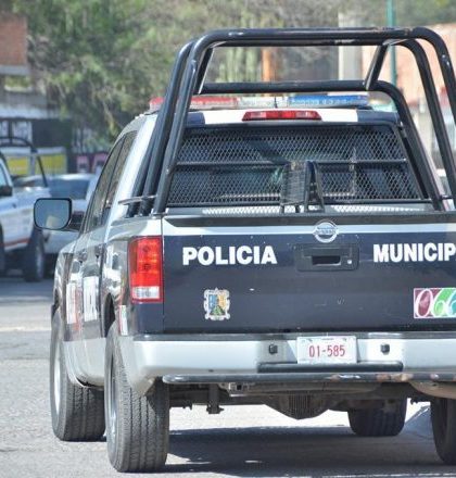 Autoridades recuperan diez vehículos con reporte de robo en 24 horas