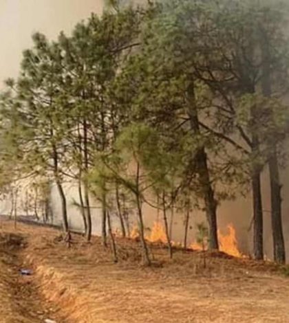 Incendio en la región mixteca deja seis muertos y varios desaparecidos