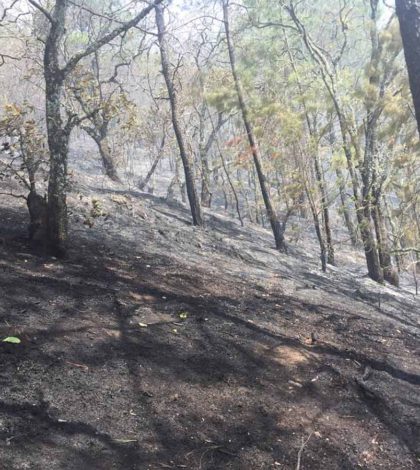Mueren nueve personas por  incendios forestales en Oaxaca