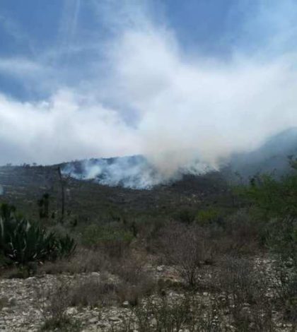 Se registra incendio forestal en Matehuala