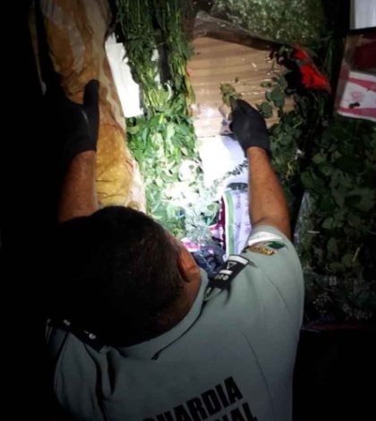 Aseguran 526 kilos de mariguana  en camión de flores, en Tamaulipas