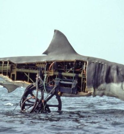 Recorrido virtual en el océano donde se filmó “Tiburón”