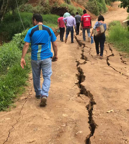 Van más de 300 réplicas de sismo en la Costa de Oaxaca