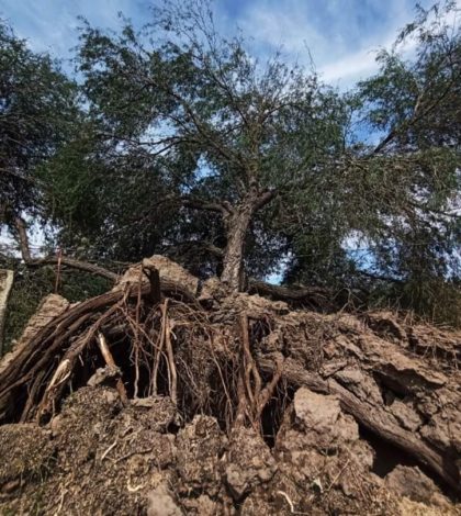 Fuertes lluvias y vientos causan destrozos y daños en viviendas Villa de Reyes