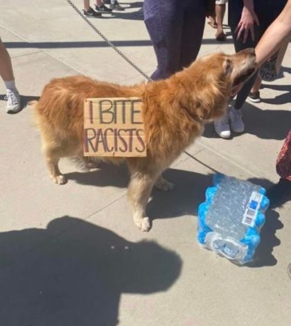 Perritos son fotografiados protestando contra el racismo