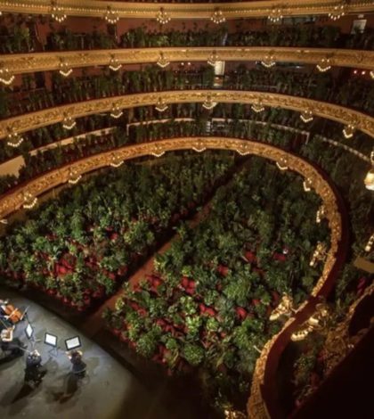 Liceu de Barcelona reabre con concierto para más de 2 mil plantas