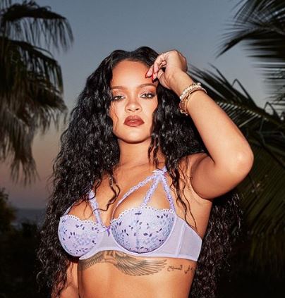 Rihanna anuncia su retiro de la música ¡Entérate!
