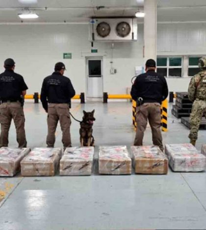 Semar asegura cocaína con un valor superior a los 161 millones de pesos