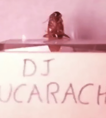 Dj cucaracha ‘transmitió un concierto en vivo’ y rompió el internet