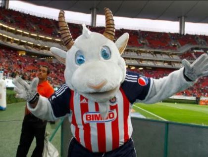 La mascota de las Chivas tiene  coronavirus