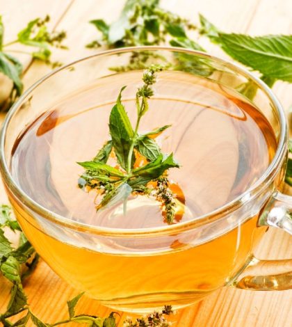 ¿Sabes por qué es bueno tomar té de hierbabuena?