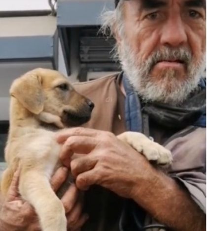 Abuelito pide ayuda a veterinario para curar a su perrita