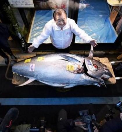 En una subasta den Tokio venden atún  en casi 4 mdp