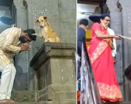 Perro se hace viral por dar la bendición fuera de la Iglesia