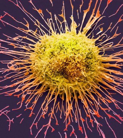 Cómo los científicos derribaron a la “Estrella de la Muerte” del cáncer