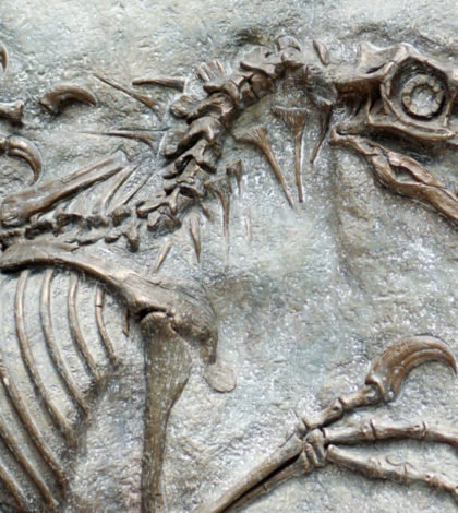 Misteriosos ‘Fósiles magnéticos’ podrían revelar como era el clima del pasado