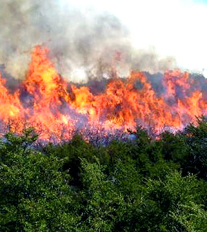 Incendio en Tamaulipas amenaza  con llegar a territorio potosino