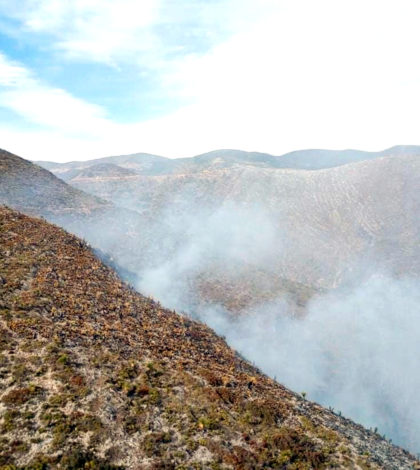 Incendios en el Altiplano,  controlados al 95 por ciento