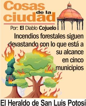 Cosas de la Ciudad.- Incendios forestales siguen devastando con lo que está a su alcance en cinco municipios