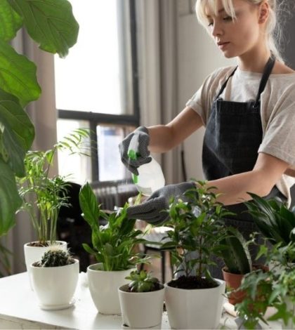 Cómo proteger las plantas