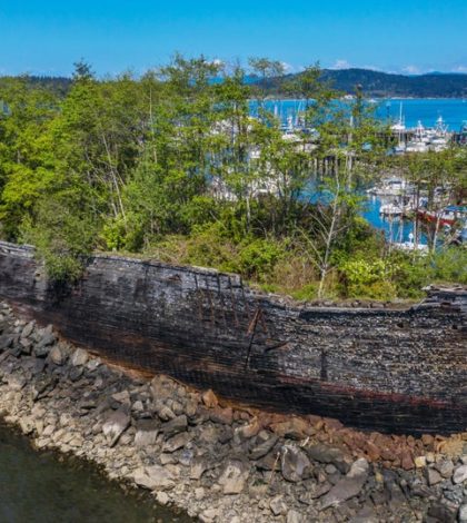 Barco histórico reclamado por la naturaleza tiene una segunda vida como rompeolas
