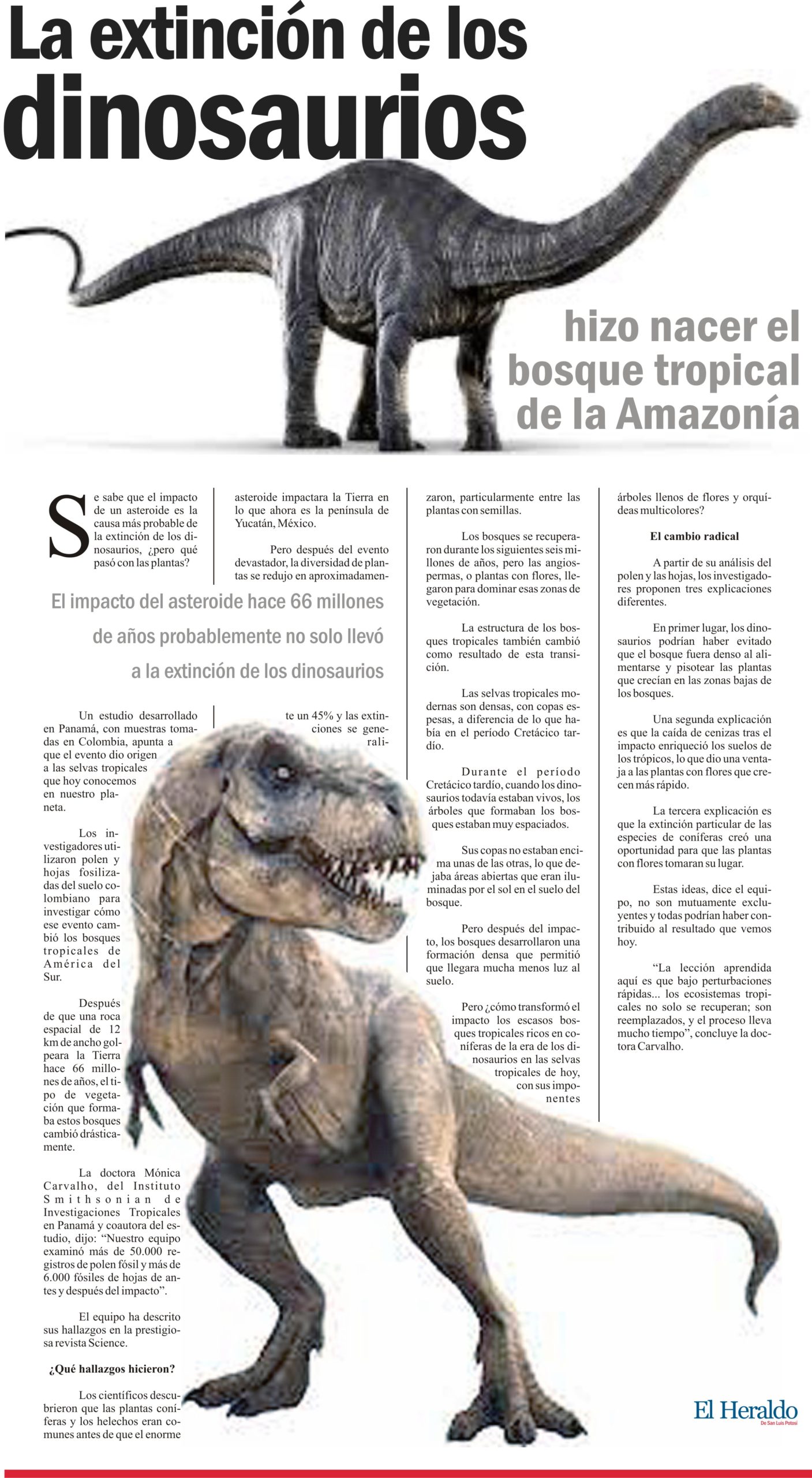 La Extinción de los Dinosaurios hizo nacer el bosque tropical de la  Amazonía – El Heraldo de San Luis Potosi