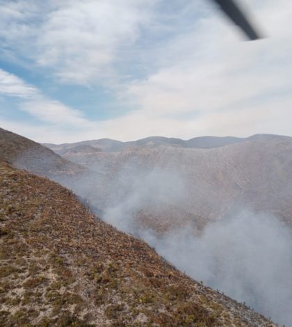 Más de 40 incendios forestales han devastado a SLP