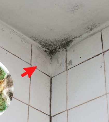 3 poderosos métodos para eliminar el moho del techo del baño