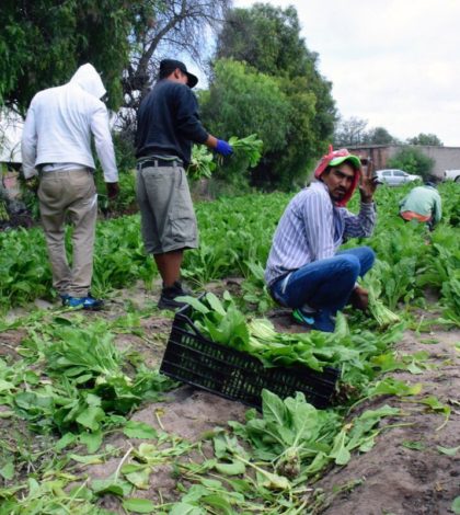 Ayuntamiento de Soledad compromete respaldar  a campesinos y asociaciones agrícolas