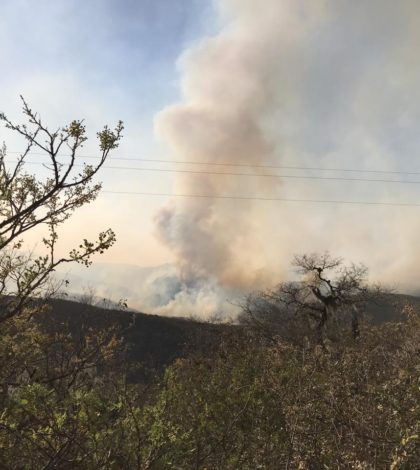 Incendios forestales han consumido  más de mil 600 hectáreas en SLP
