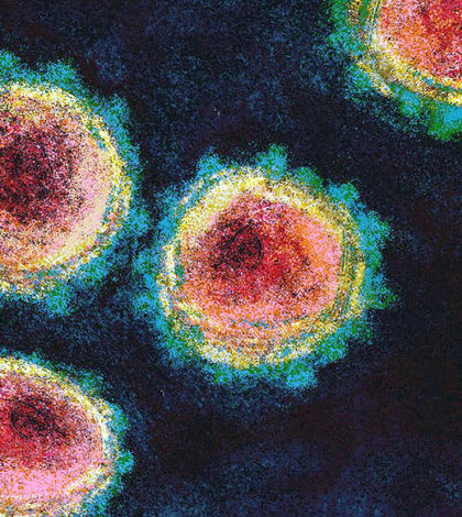 Encuentran "punto débil" del coronavirus para evitar su multiplicación