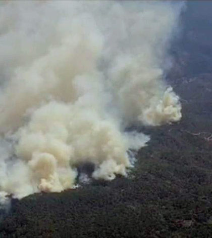 Surgen 3 nuevos incendios forestales en SLP