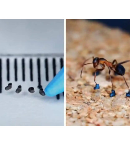 Tiktoker crea zapatos para hormigas