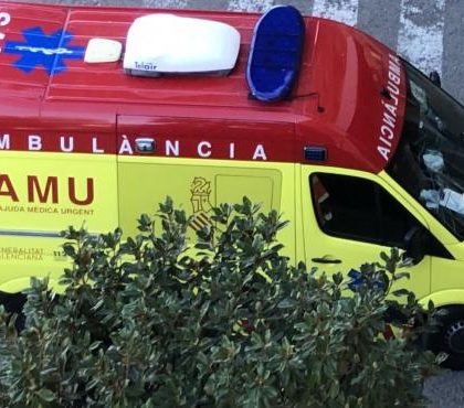 Heridos un bebé de 19 meses en la cara y una mujer de 30 años por el ataque de un perro en Valencia