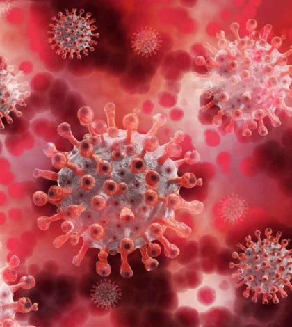 Investigadores desarrollan análisis de sangre que predice eficacia de vacuna Covid