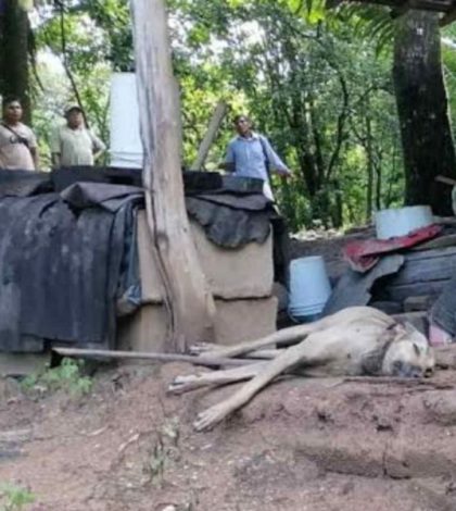 Mueren dos personas y dos perros tras caerles rayo en Oaxaca