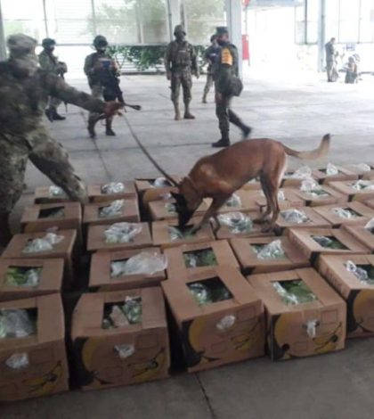Semar asegura 182 kilos de cocaína en Chiapas