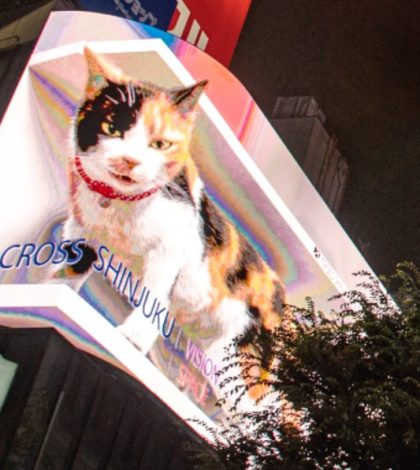 Anuncio con gatito en 3D sorprende a los habitantes de Tokio