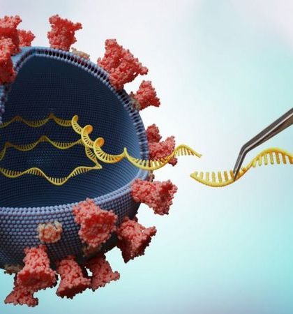 Delta: mutaciones que hacen a esta variante del coronavirus más contagiosa