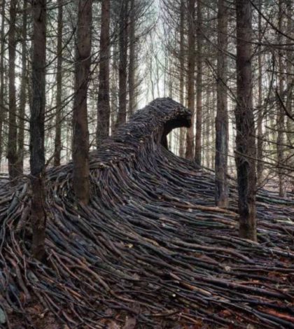 Olas de madera muerta invaden un bosque en Alemania