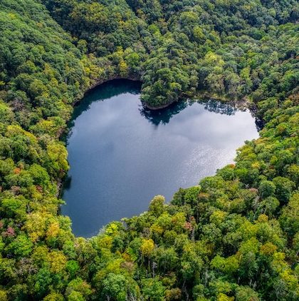 Imágenes de un pequeño lago con forma de corazón en Japón